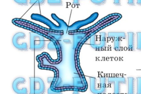 Кракен маркет что это