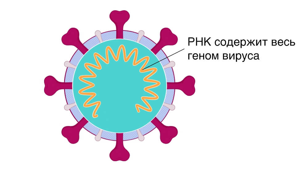 Кракен сайт регистрация