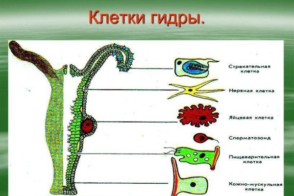 Kraken ссылка зеркало официальный