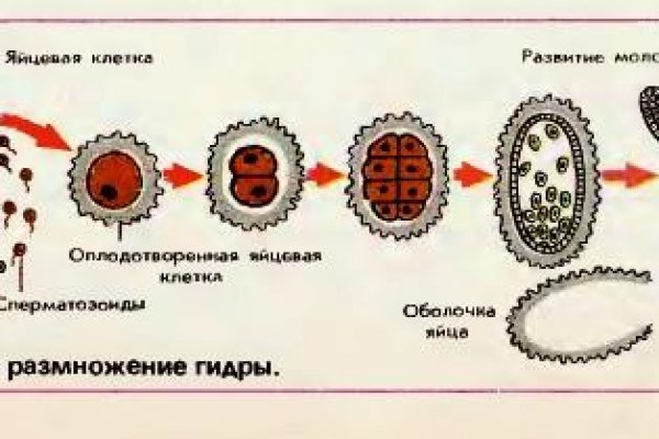 Кракен макет плейс